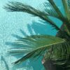 Coconut Harbor