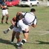 Strut on the Field